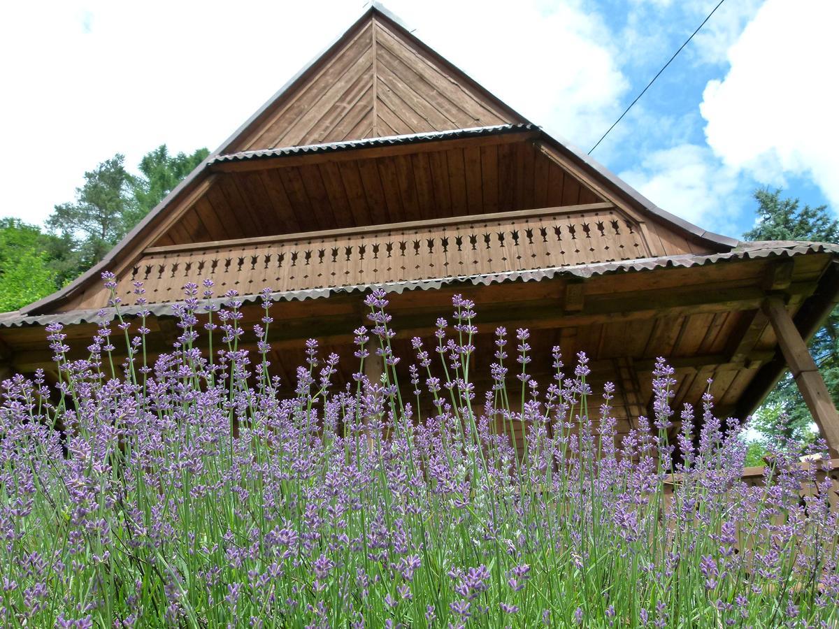 Drewniany Domek Bb Nad Rzeka Powrożnik Dış mekan fotoğraf