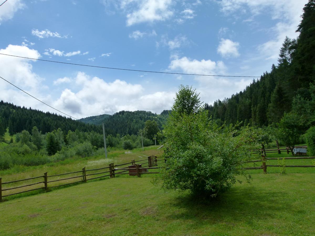 Drewniany Domek Bb Nad Rzeka Powrożnik Dış mekan fotoğraf